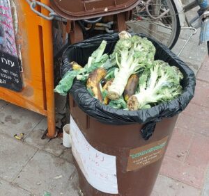 Lira Shapira, Green Local Currency