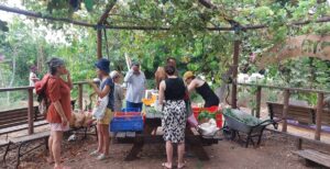 Lira Shapira, Green Local Currency